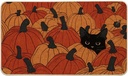 Artoid Mode Black Cat Pumpkin Fall Doormat, Autumn Home Decor Low-Profile Door Mat Switch Rug Floor Mat for Indoor Outdoor 17x29 Inch
