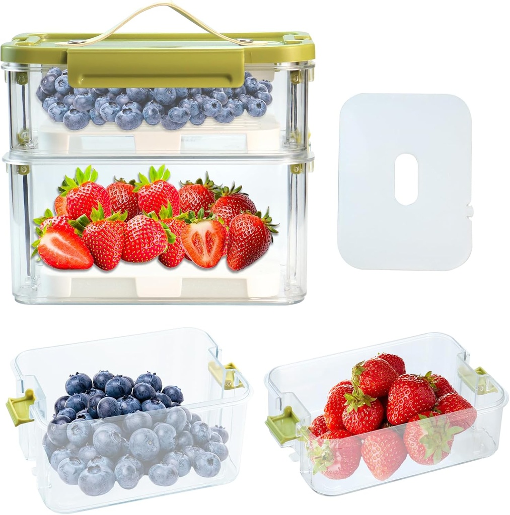 Double Layer Bento Box Meal Prep Containers with Ice Grid to Keep Fresh, Plastic Food Storage Containers with Lids, BPA Free, Airtight Lunch Box, Dishwasher and Freezer Safe