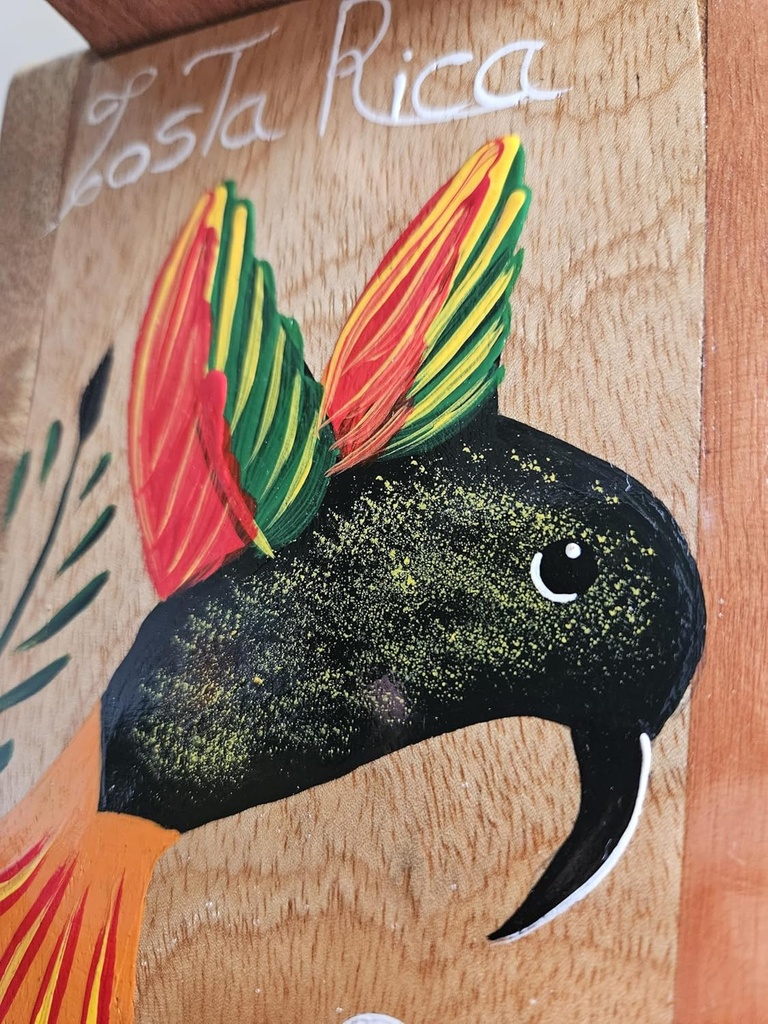 Tapanti store.Chorreador,Costa Rican handcrafted foldable wooden pour-over coffee maker.Includes a reusable cloth filter.Hand painted Hummingbird wooden design.Light Cedar.Perfect for travel