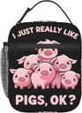 Reusable Cute Pig Lunch Box for Kids, Insulated Cartoon Pink Pigs Bag,Polyester Cooler Animal Lovers Handbags Case for School Picnic Work Travel Beach or Hiking, Gifts