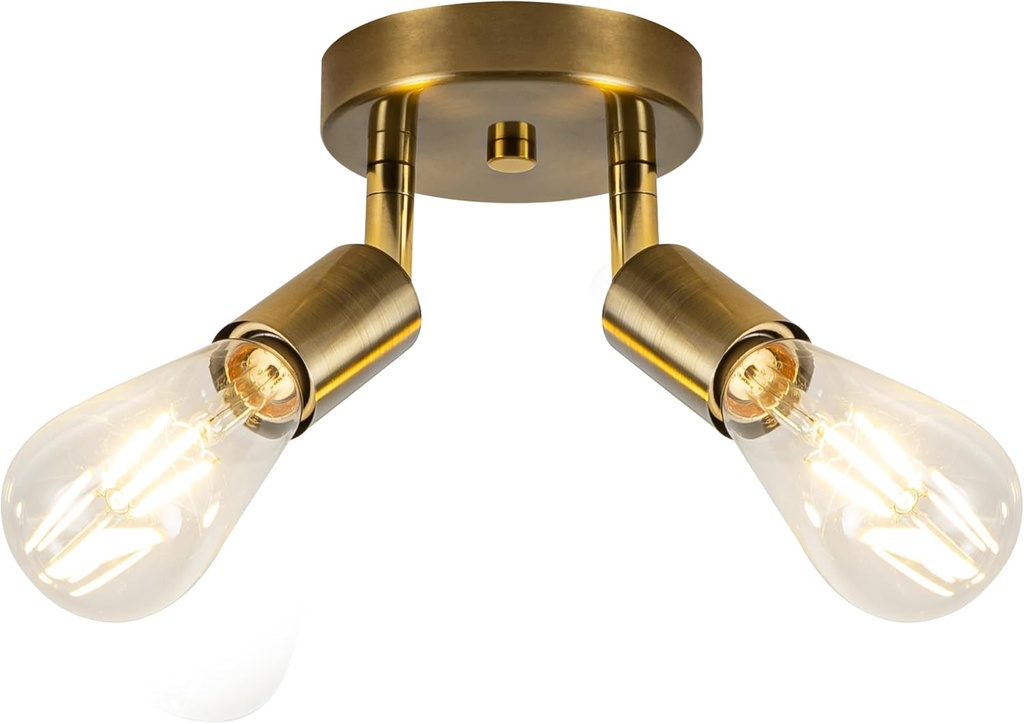 Ceiling Light Fixture, 2 Bulbs, Gold Finish