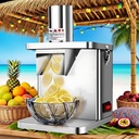 Electric Vegetable Dicer, Commercial 250w Vegetable Chopper Dicer Shredder Automatic Onion Potato Cutter Food Processor Fruit Cutting Machine With 5 Dicing Knife Nets +JuliennePlate