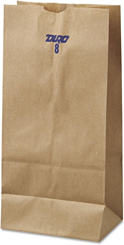8 6.13" Kraft Paper Bag in Brown (Set of 2)