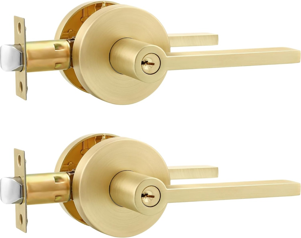 Leydebong 2 Pack Gold Door Knobs, Door Handles Interior, Brushed Gold Privacy Lever Door Handle with No Key, Modern Door Hardware for Interior Door Use
