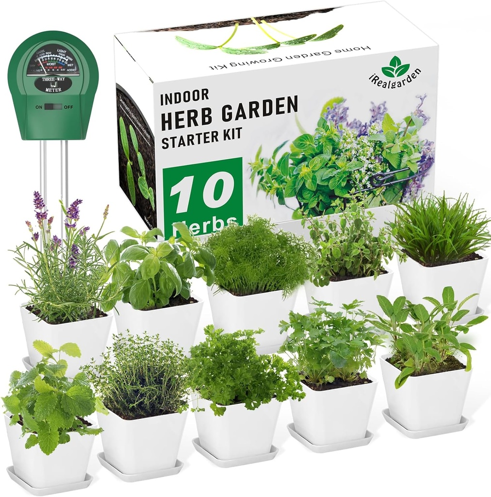 Indoor Herb Garden Kit – 10 Non-GMO Herb Seeds with Soil, Pots & Moisture Meter – Easy Windowsill Gardening Starter Set – Unique Gift for Gardeners, Home Chefs & Families