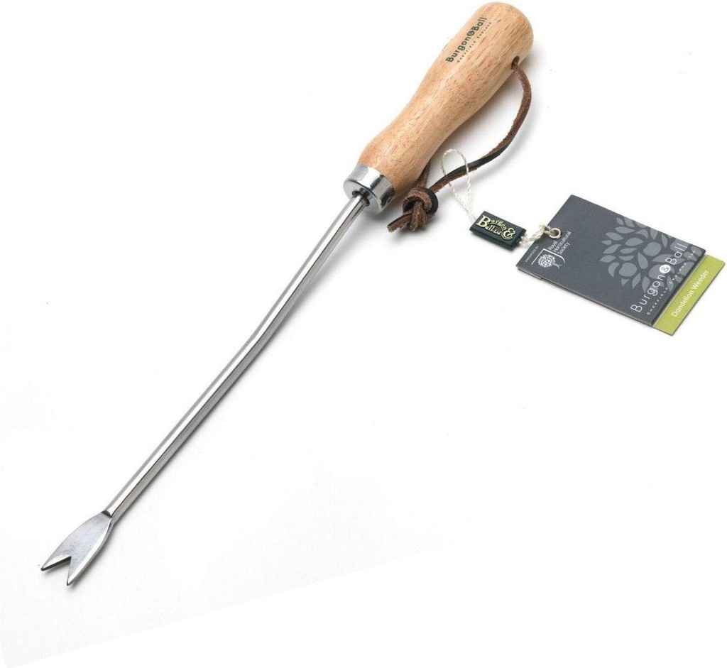 Burgon & Ball Stainless Steel Dandelion Weeder with Wooden Handle | RHS Endorsed & FSC Wood
