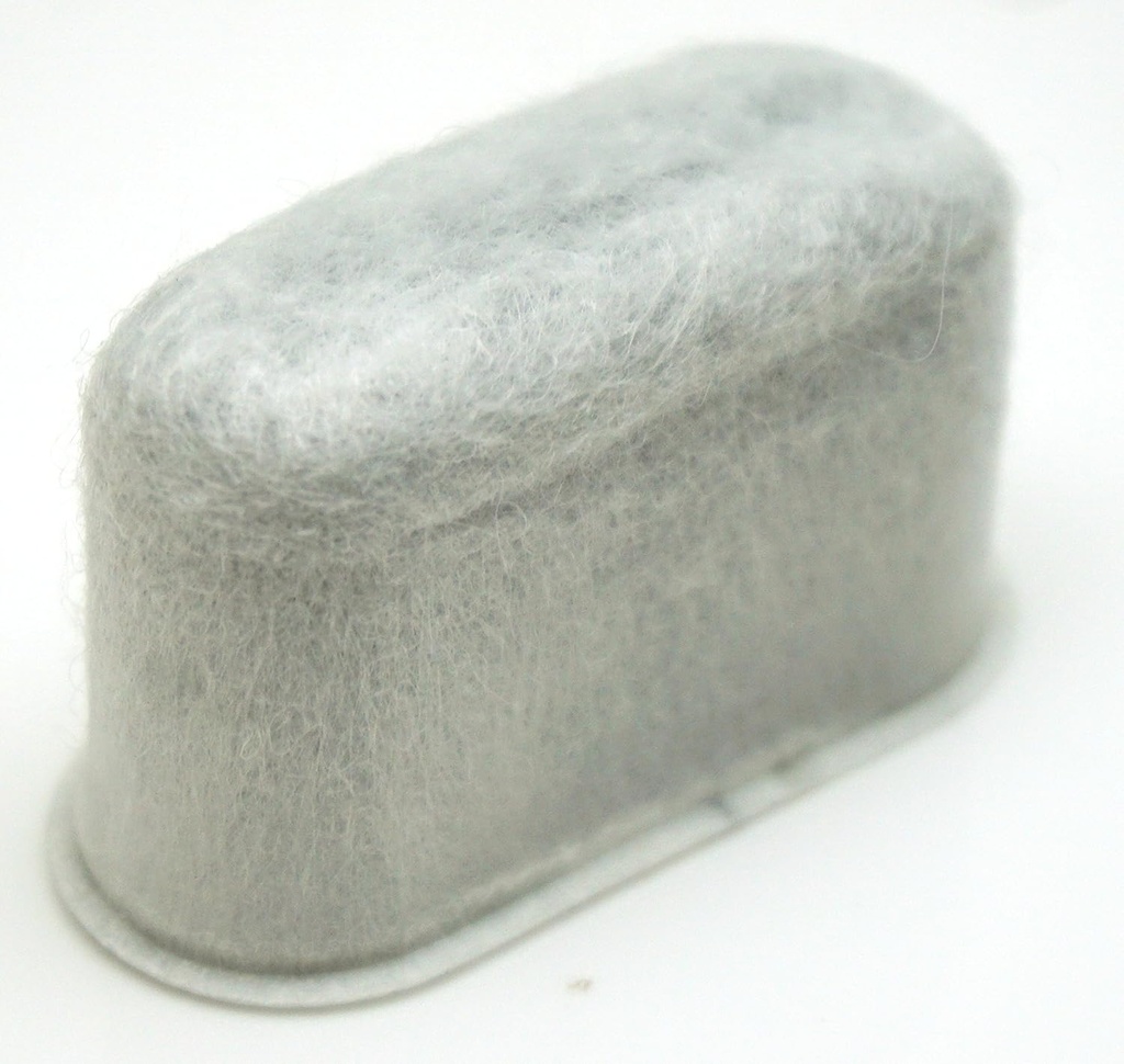 Delonghi 7313285779 Carbon Filter