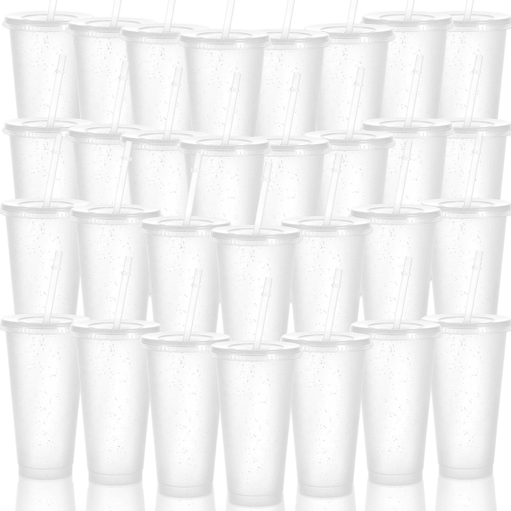30 Pack Tumblers with Lid and Straw Reusable Plastic Clear Cups Bulk Water Bottles 24 Ounces Cups Travel Mug Cup for Iced Coffee Cold or Hot Drink Juices Birthdays Party Outdoor Use