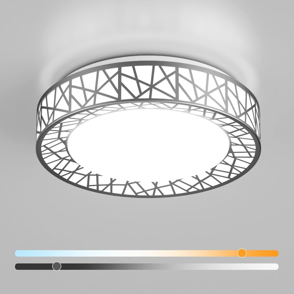 12 Inch Flush Mount Ceiling Light, Modern Brushed Nickel LED Ceiling Light Fixture, 20W 1400LM 2700-6500K Adjustable, Dimmable Ceiling Lights for Bedroom, Kitchen, Hallway, Bathroom, ETL