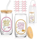 Set of 2 Silly Goose Juice Glass Cup with Clear Gift Bag Bow Coquette Glass Tumbler with Straw and Lid DIY Bow 16 oz Funny Iced Coffee Tumbler for Easter Birthday Gift
