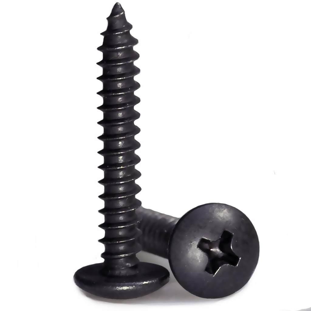 #8 x 1 Wood Screw 100Pcs Truss Head Phillips 18-8 (304) Stainless Steel Fast Self Tapping Screws Black Oxide…