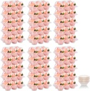 Cupcake Containers Holder - 6 Counts x 30 Sets Stackable Cupcake Boxes Carrier with 200 Pack Liners, Plastic Disposable Clear Cupcake Storage Tray with Detachable Dome Lid for Mini Individual Cake