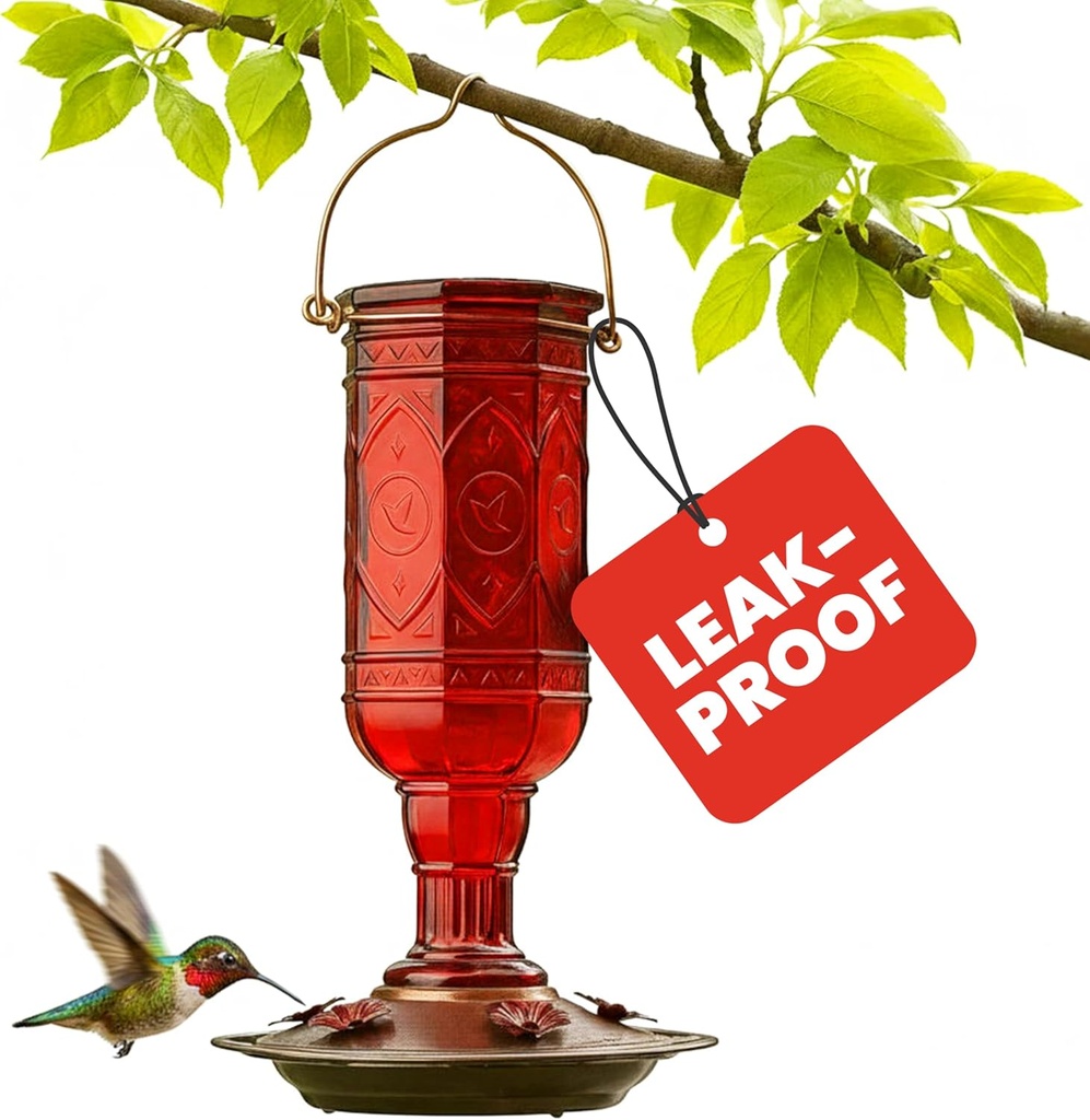 More Birds Red Jewel Hummingbird Feeder, Glass Bottle, 5 Feeding Ports and 20-Ounce Nectar Capacity (76IN)