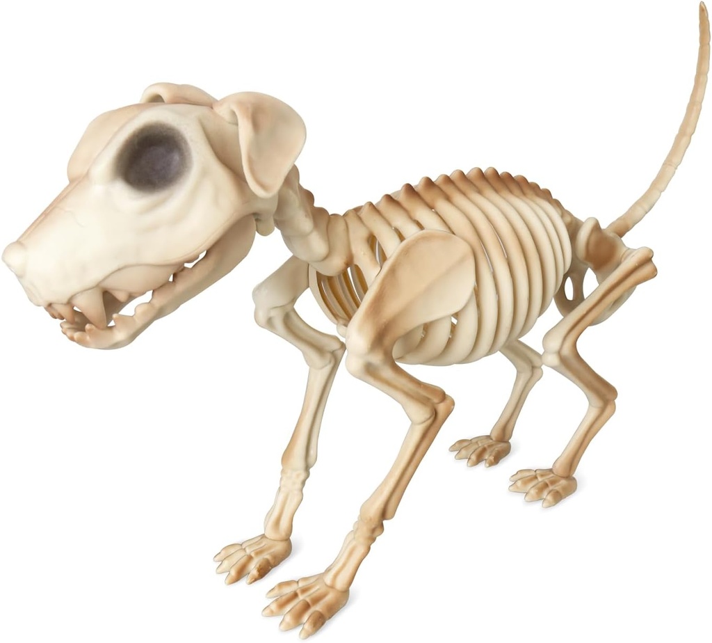 LarpGears Lifesize Full Body Dog Skeleton Decorations - 18.5 Inch Puppy Skeleton for Halloween Indoor and Outdoor Decor with Moving Jaw | Spooky Halloween Props