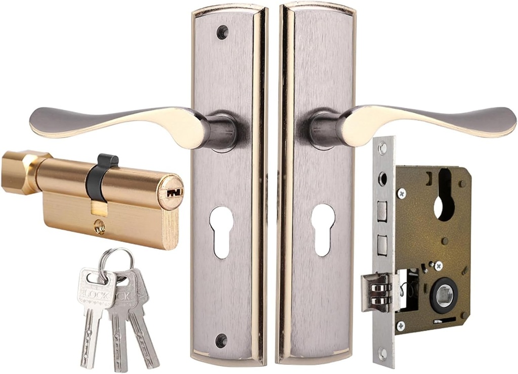 EBTOOLS Door Lever Set, Aluminum Handle Design with Lock Core for Home SecurityIndoorBedroomLiving Room