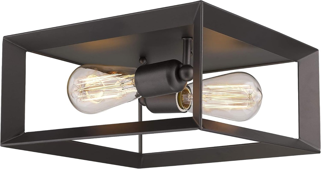 Emliviar 2-Light Ceiling Light, 12" Flush Mount Ceiling Lighting Fixture, Oil Rubbed Bronze Finish, 3040-2 ORB