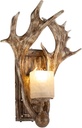 Indoor Antler Wall Sconce with Frosted Resin Lampshade, Rustic Faux Resin Antler Wall Mount Light Fixtures for Bedroom Bathroom Hallway Entrance Retro Wall Decor, E12 Base
