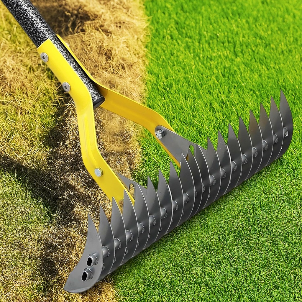 Dual-Action Thatch Rake for Lawn – Efficient 15" Thatching Rake with Sharp Dethatching Blade,Manual Dethatcher & Scarifier Tool for Dead Grass Removal,Soil Loosening,Garden Yard Lawn Care,55" Long
