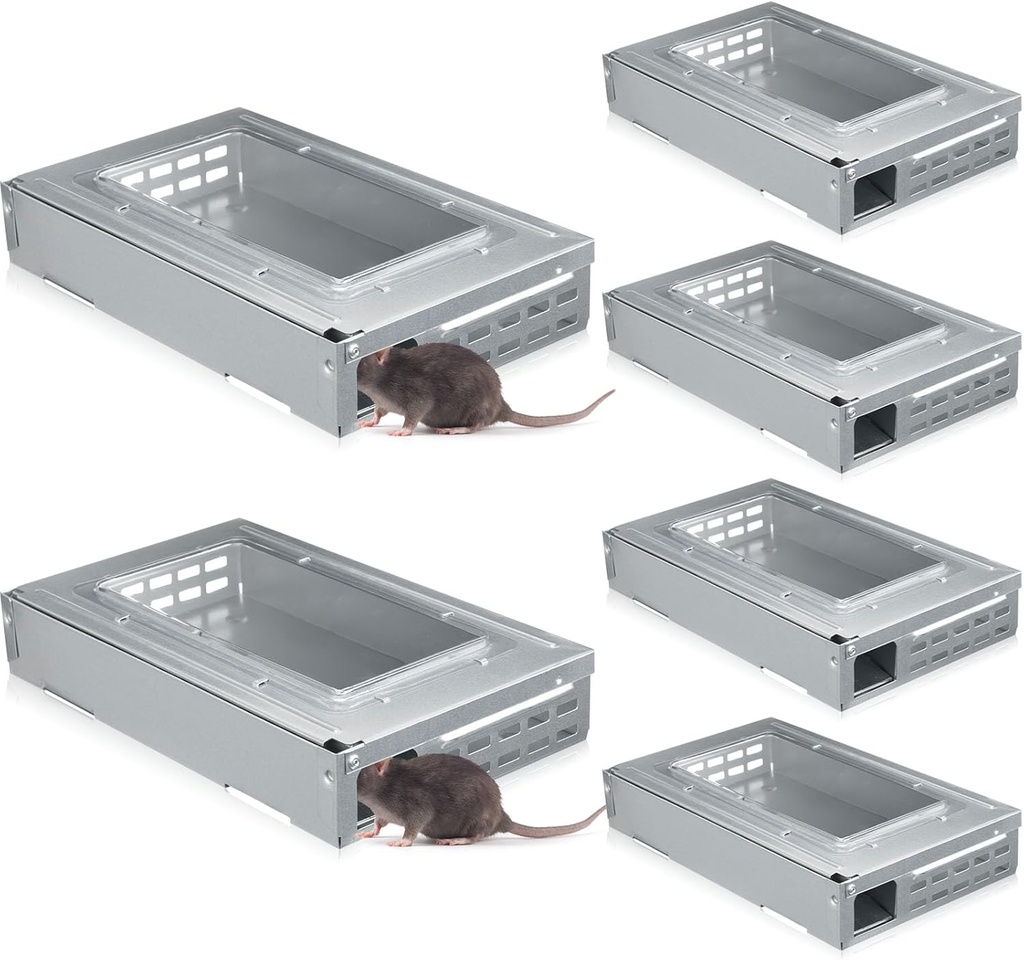 Qualirey 4 Pack Multi Catch Mice Trap Clear Top Humanized Mouse Trap Rodent for Indoor Outdoor Rat Control Pet and Security (6.3 Inch,Silver)