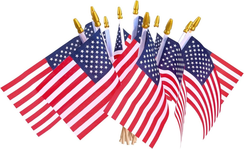 HOOSUN 12 Pcs Small American Flags On Stick,Patriotic Decorations Small USA Flags On Stick,Mini American 4''x6'' Flag,Veterans Day Decorations for Outside Patriotic Holiday Yard Patio Decor