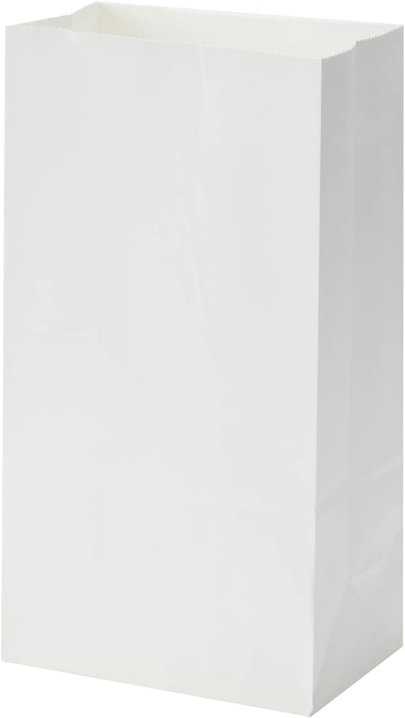 40 Count White Grocery Lunch Bag Kraft Paper Bags 4 lb Capacity