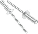 (320Pcs) 1/8" x 1/4" Aluminum Blind Rivets, 3.2 x 6mm Pop Rivets,Rivets for Metal,Silver-(VG10101)