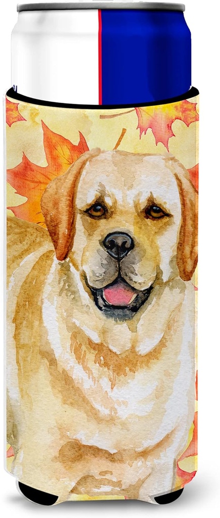 Caroline's Treasures Golden Retriever Fall Decorative Can Hugger, Slim, Multicolor