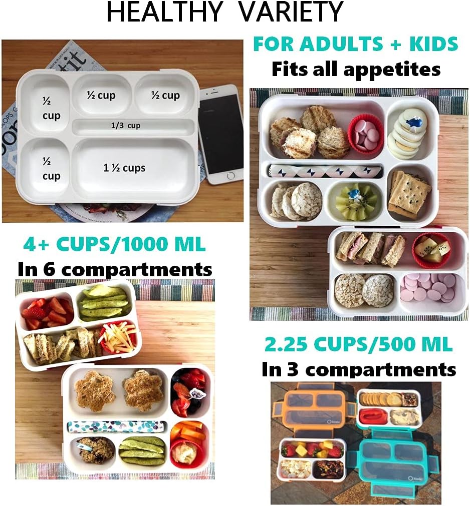 Bento Box Lunch Boxes and Snack Containers for Kids Girls Boys | Leakproof Portion Container Kits BPA Free | Value Pack Set of 4 | Teal Orange Large + MINI, Value 4 pack