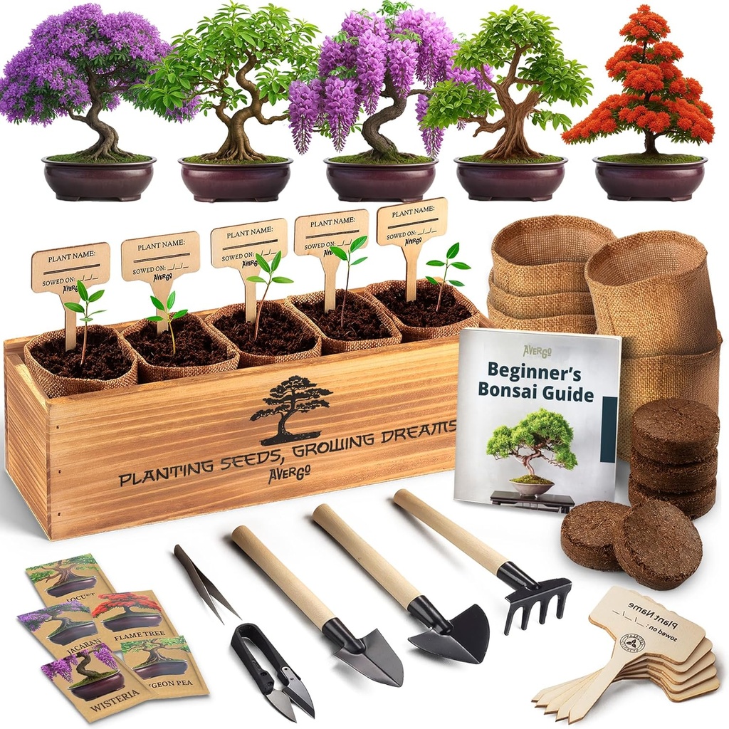 AVERGO Bonsai Tree Kit for Beginners – 5X Unique Japanese Bonzai Trees | Complete Indoor Starter Kit for Growing Plants with Bonsai Seeds, Tools & Planters – Gardening Gifts for Women & Men