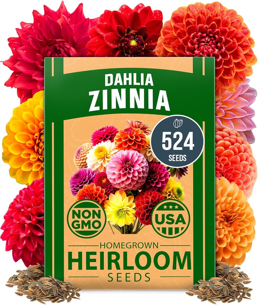 HOME GROWN 𝗨𝗦𝗔 𝗣𝗥𝗘𝗠𝗜𝗨𝗠 Zinnia Dahlia Seeds Pack for 2026 – 524 𝗡𝗢𝗡-𝗚𝗠𝗢 Flower Seeds | Vibrant Zinnia Elegans for Pollinator Gardens, Borders & Containers | Easy-to-Grow Outdoor Blooms