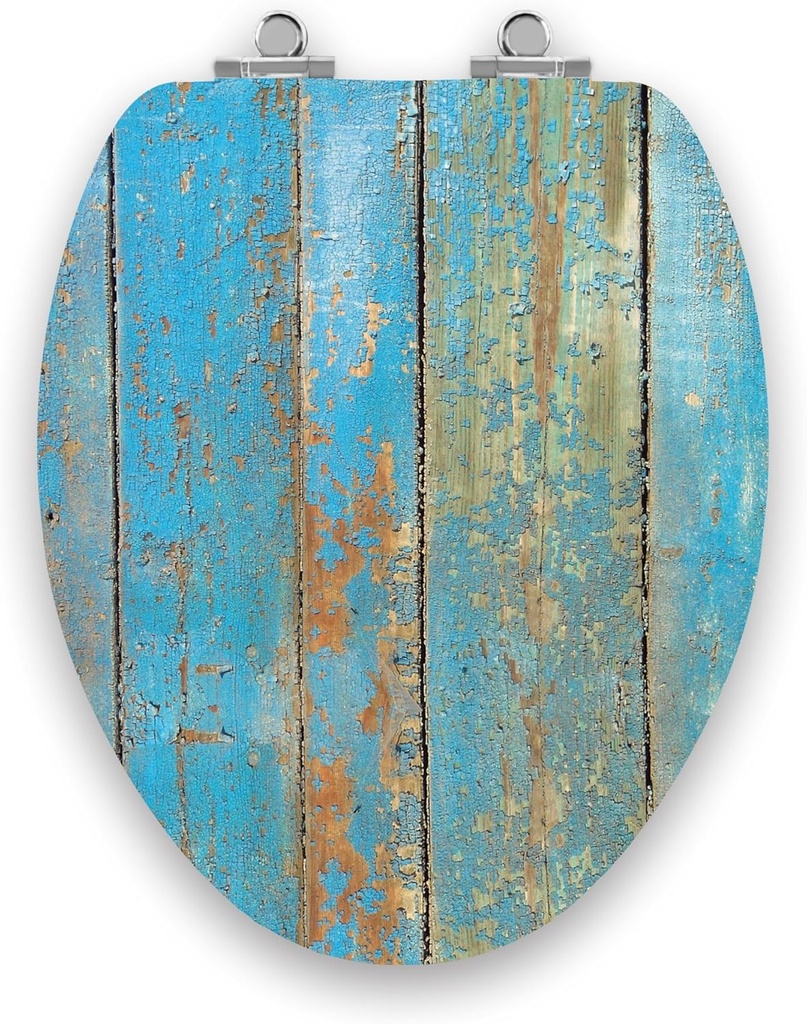 Art of Acryl Elongated Toilet Seat w/Slow Close Chromed Metal Hinges, Wood, Shabby Chic