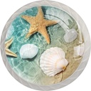 4 Pack Dresser Drawer Cabinet Knobs Beach Starfish Seashell Round Shape Crystal Glass Pulls Handles for Kitchen Wardrobe Cupboard Door Hardware with Screws