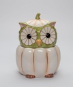 Cosmos Gifts Fine Ceramic White Pumpkin Owl Candy Cookie Jar, 6-3/4" H