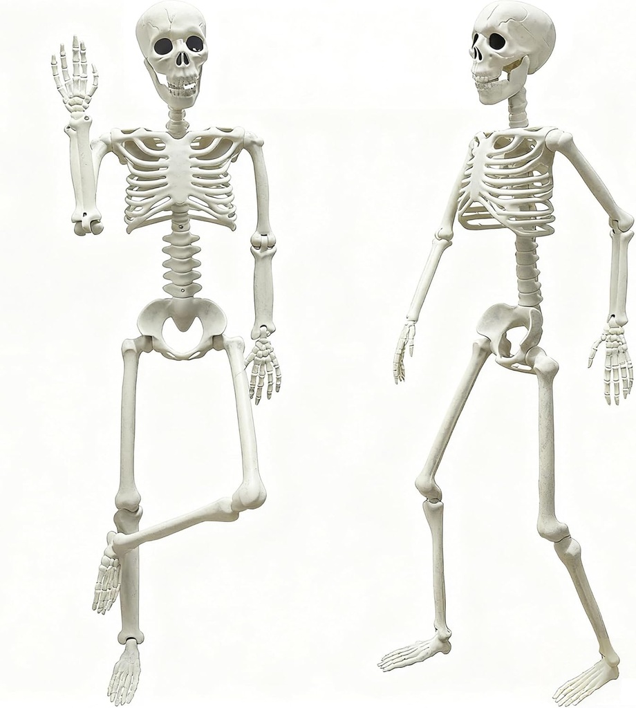 LUKBERA 2 Pack 3 ft Halloween Skeleton Posable, 36” Full Body Human Skeleton with Movable Joints for Halloween Haunted House Graveyard Party Scary Indoor Outdoor Decor