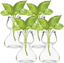Garden Guru Plant Propagation Stations – Self-Standing Hourglass Glass Vases for Hydroponic Plant Growth – Unique Double Bubble Design for Home Decor (Set of 4)