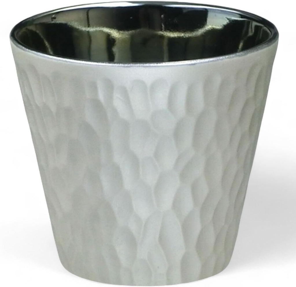 J-kitchens Cup, Rock Cup, Light Changing Cup, Silver, 10.1 fl oz (300 ml), Dishwasher Safe, Microwave Safe, Made in Japan