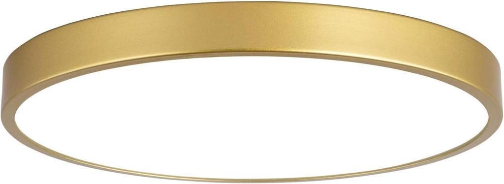 12 Inch Brush Gold Ceiling Light Fixtures,3000K-5000K Metal LED Gold Flush Mount Ceiling Lights,20W Round Flat Pane Ceiling Mount Lighting for Bedroom,Living Room,Hallway