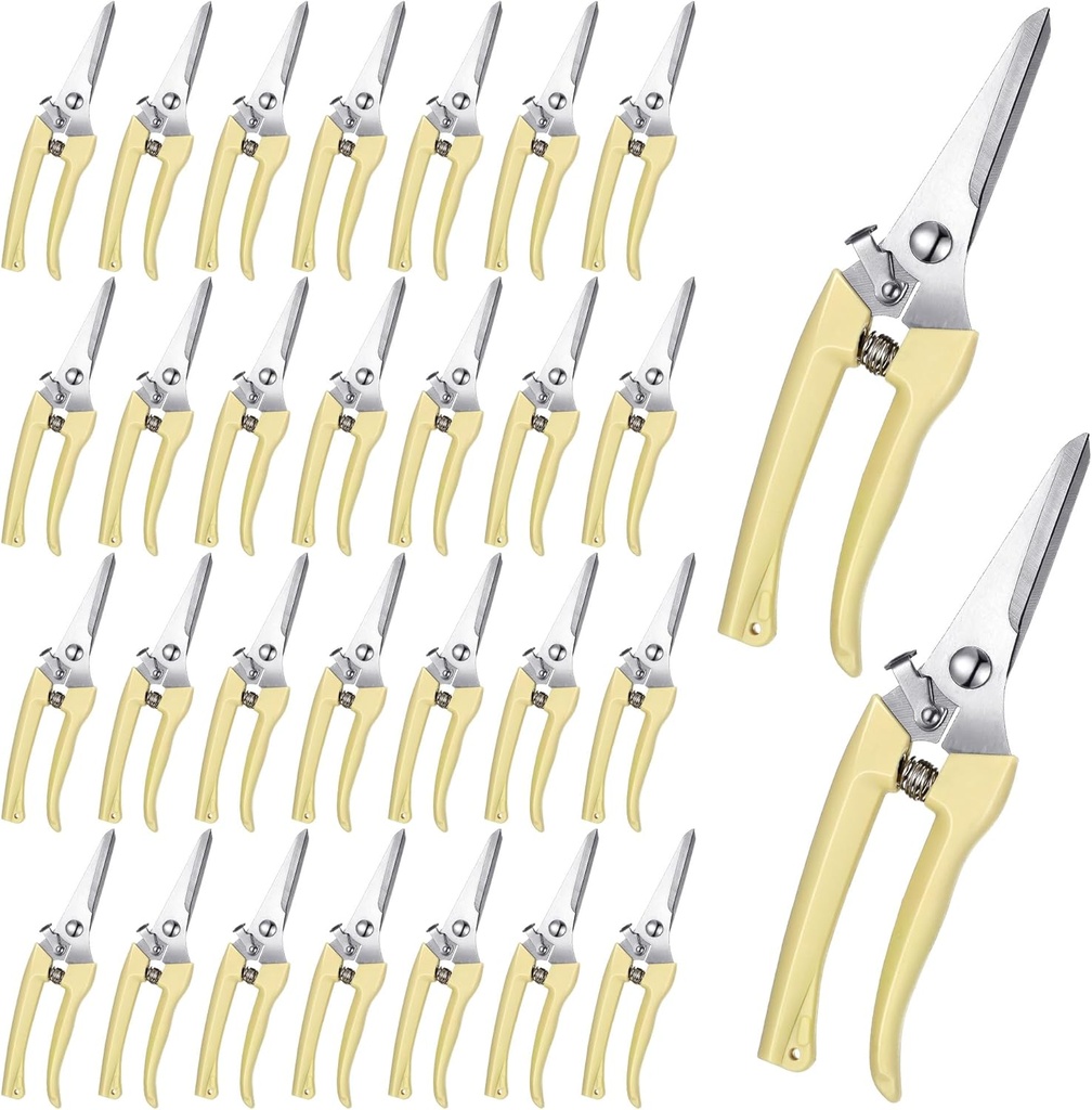 Chumia 30 Pcs Garden Flower Shears Pruning Scissors Heavy Duty Plant Scissors Trimming Garden Clippers Hand Tree Pruner for Yard Gardening Plants Hedge Flower Tree Cutting Secateurs (Beige)