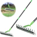 Thatch Rake, Garden Dethatcher Rakes for Lawns Heavy Duty, Metal Thatcher with Double-Sided Sharp Rake Head for Dead Grass Moss Remove, Loosen Soil, 53" Manual Thatching Tool for Gardening, Yard