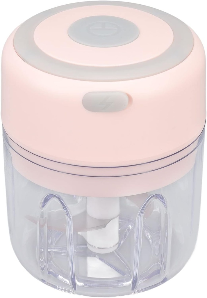 Asixxsix Electric Garlic Chopper, Stainless Steel Food Processor with USB Charging, Portable Meat Grinder with Powerful Motor, Mini Vegetable Mincer for Onion Ginger Pepper Baby