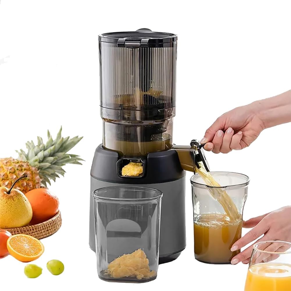 300W Professional Slow Juicer, Juicer Machines, Cold Press Masticating Juicer with 13cm Feeding Chute, Portable Pomace Separation Juicer Fruit juicer, for Fruits Vegetables gray (G, Grey