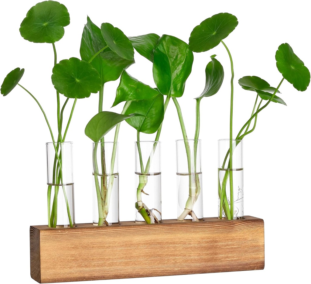 YIBOT Propagation Stations, Plant Terrarium with Wooden Stand, Birthday Gardening Gifts for Women Mom Plant Lovers,Home Office Desk Decor, 5 Glass Test Tubes Vases