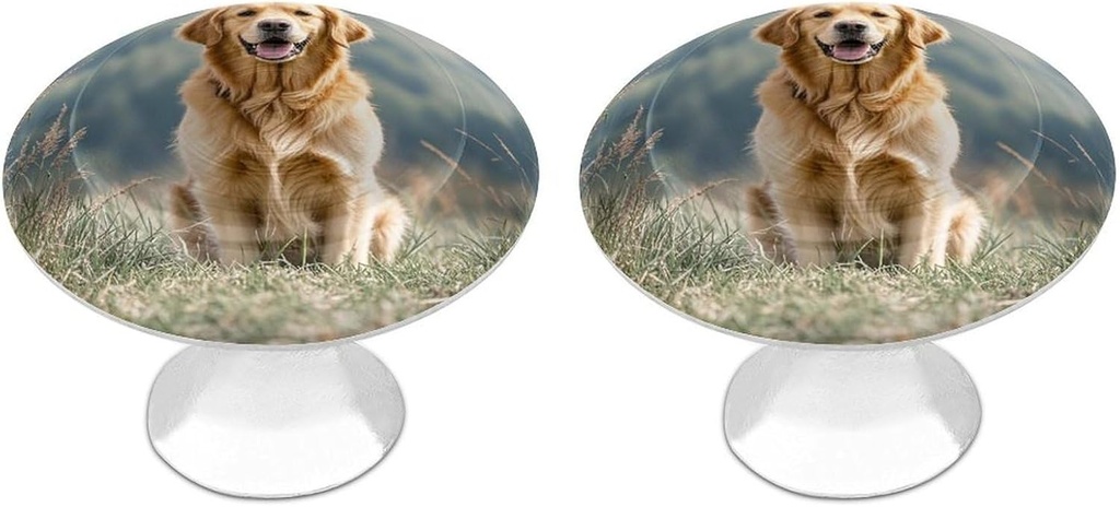 Golden Retriever Dog Cabinet Handles 2 Pack Kitchen Closet Handles 1.1in Stainless Steel Drawer Pulls for Closet Dresser Wardrobe Cupboard Furniture