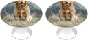 Golden Retriever Dog Cabinet Handles 2 Pack Kitchen Closet Handles 1.1in Stainless Steel Drawer Pulls for Closet Dresser Wardrobe Cupboard Furniture