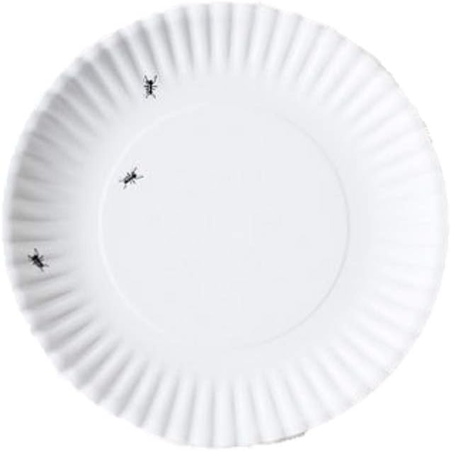 "What Is It?" Larger Size 11-inch Reusable White Dinner Plate with Ant Design, Melamine, Set of 4