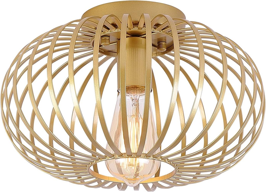 Fivess Lighting Modern Gold Flush Mount Light Fixture Metal Cage Single Semi Flush Mount Ceiling Light for Hallway Bedroom Kitchen Entryway Farmhouse