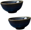 2pcs Ceramic Sake Cups Japanese Style Drinkware for Tea Sake Beautifully Crafted for Entertaining Smooth Touch for Hot Cold Beverages