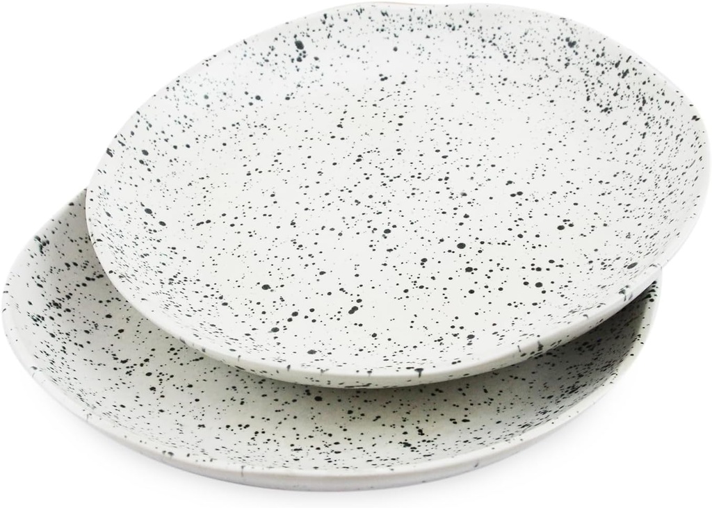 roro Handmade Glossy White Speckled 10.5 In Dinner Plates - Set of 2, Artisanal tableware for entree