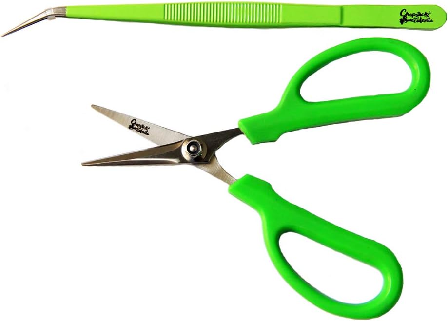 gardening Scissors and Tweezers Combo