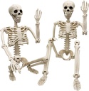 2 Pack 36"Halloween Skeleton - 3 ft Life Size Human Skeleton with Full Body Posable Joints Plastic Skeleton for Halloween Skeletons Decor Yard Patio Lawn Garden Skeleton Props Spooky Party Decoration